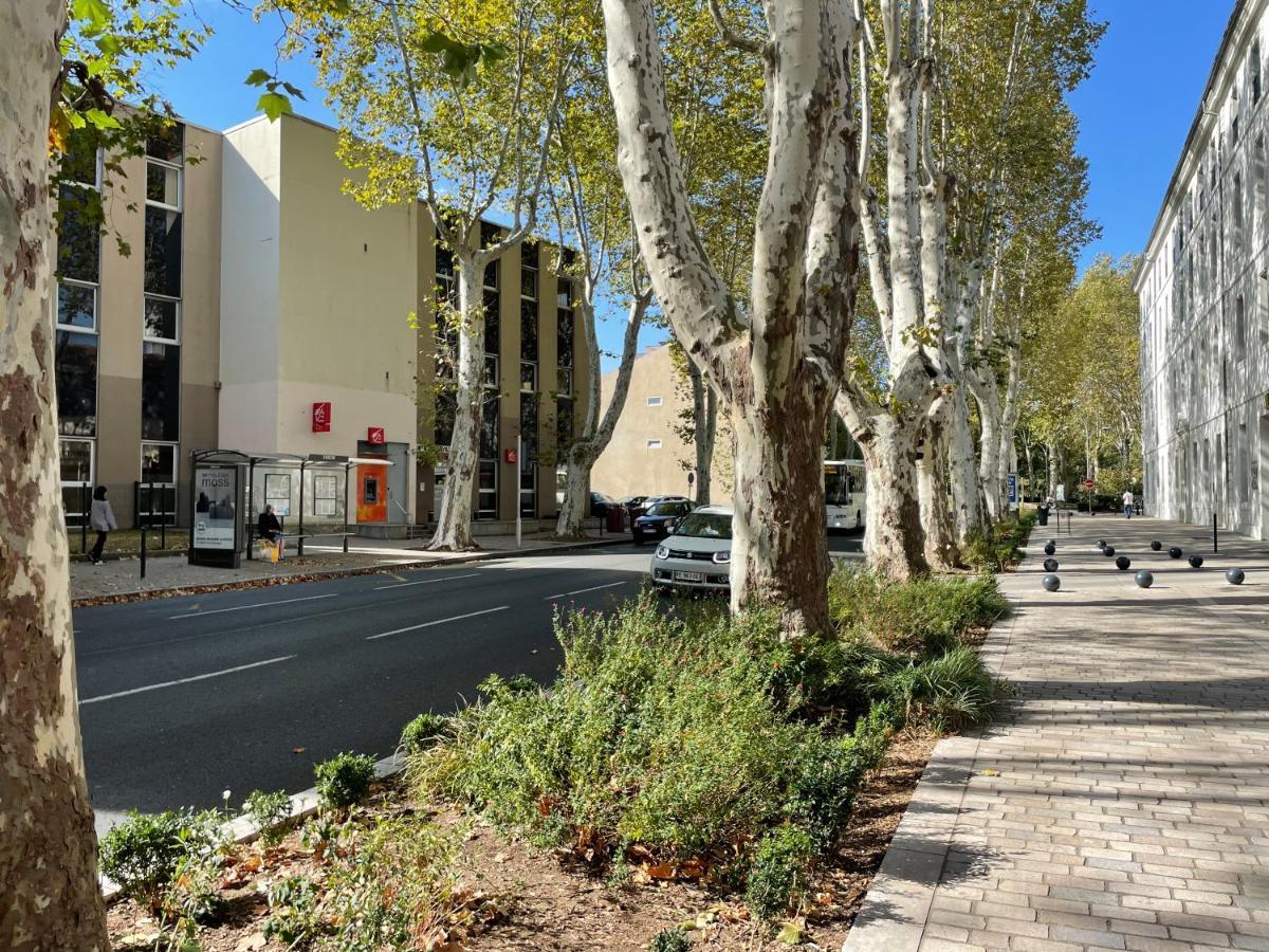 L'Eveche - T3 Spacieux & Traversant En Hypercentre Castres  Luaran gambar