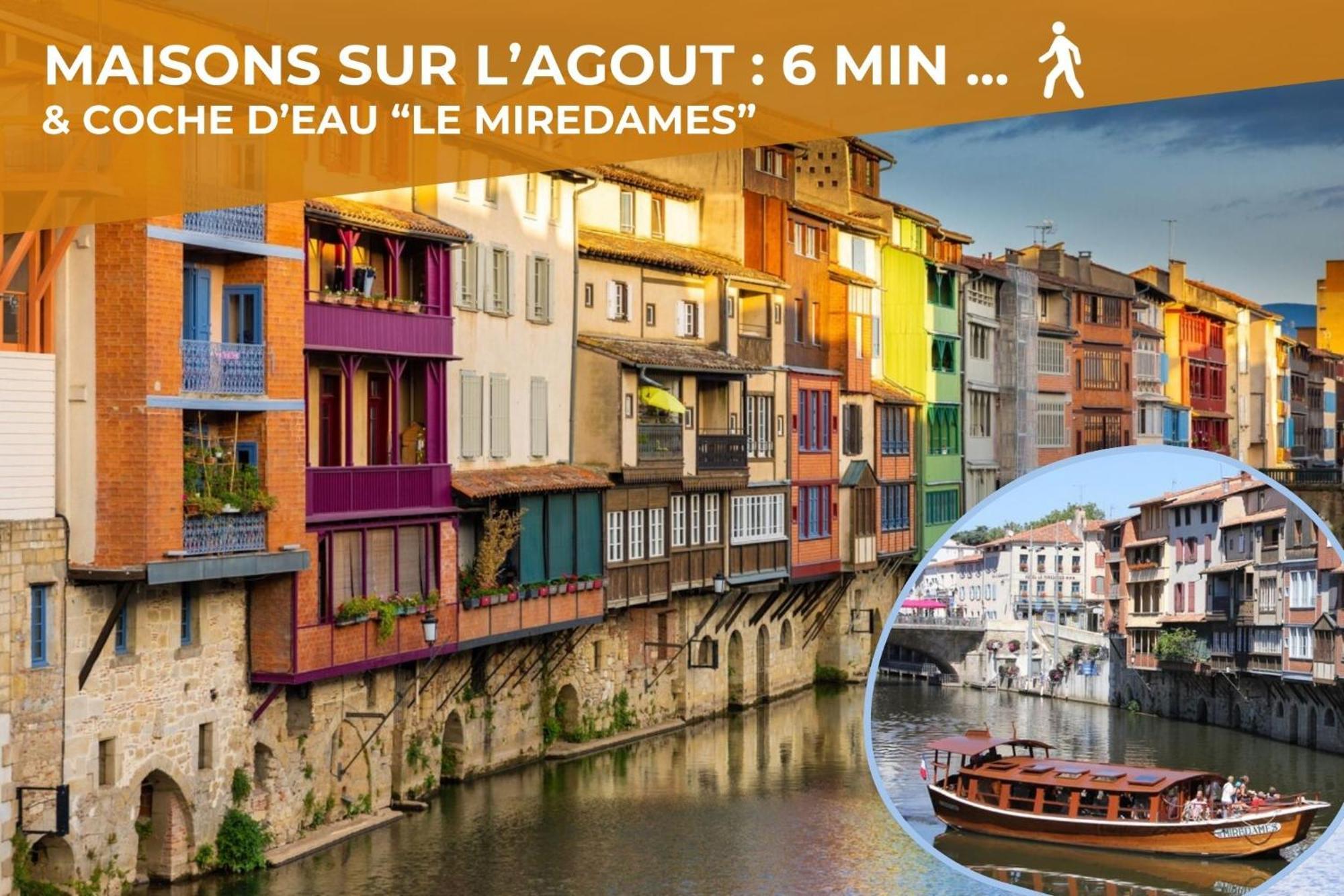 L'Eveche - T3 Spacieux & Traversant En Hypercentre Castres  Luaran gambar